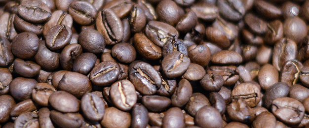 Kaffee­maschinen bei Das Elektroteam Winkler GmbH in Erfurt